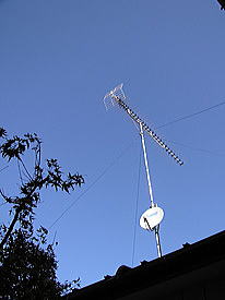 �n�f�W�A���e�i