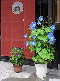 �X�ܑO�̒���