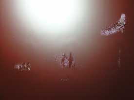 ���h��̃`�a�~�[�Q