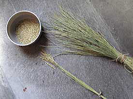 �E���[���̂P