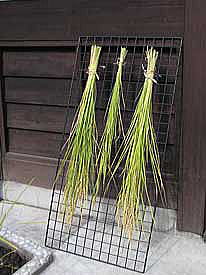 ���[���̂R