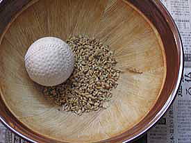 ���݂���[���̂P