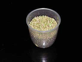 ���݂���[���̂Q