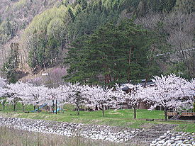 �䒌�ؗ��Ƃ���[�R