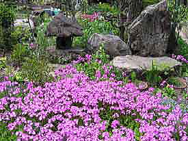 ��̂����瑐