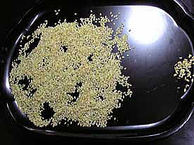 ���ā[���̂Q