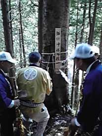 �䒌�����ꎮ�[�P