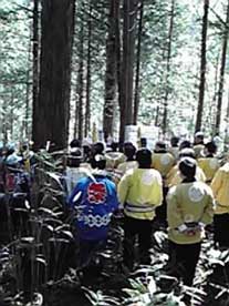 �䒌�����ꎮ�[�Q