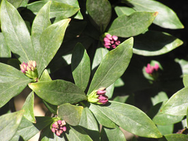 �`���`���E�Q