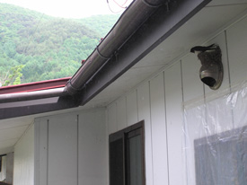 �c�o���̑�