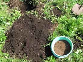 �엿������