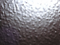 �͎�h��オ��