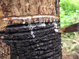 �~���ׂ�ł������Ƃ�[���̂Q