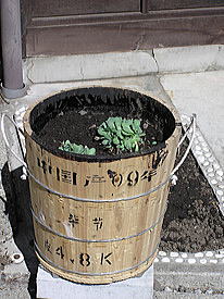 ���邵�I�P�ɑ�ٌc��