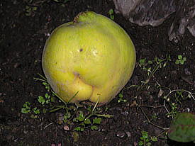 �}������