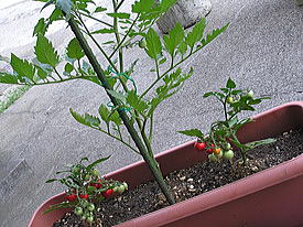 �~�j�g�}�g