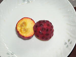 やまぼうしの実の中身